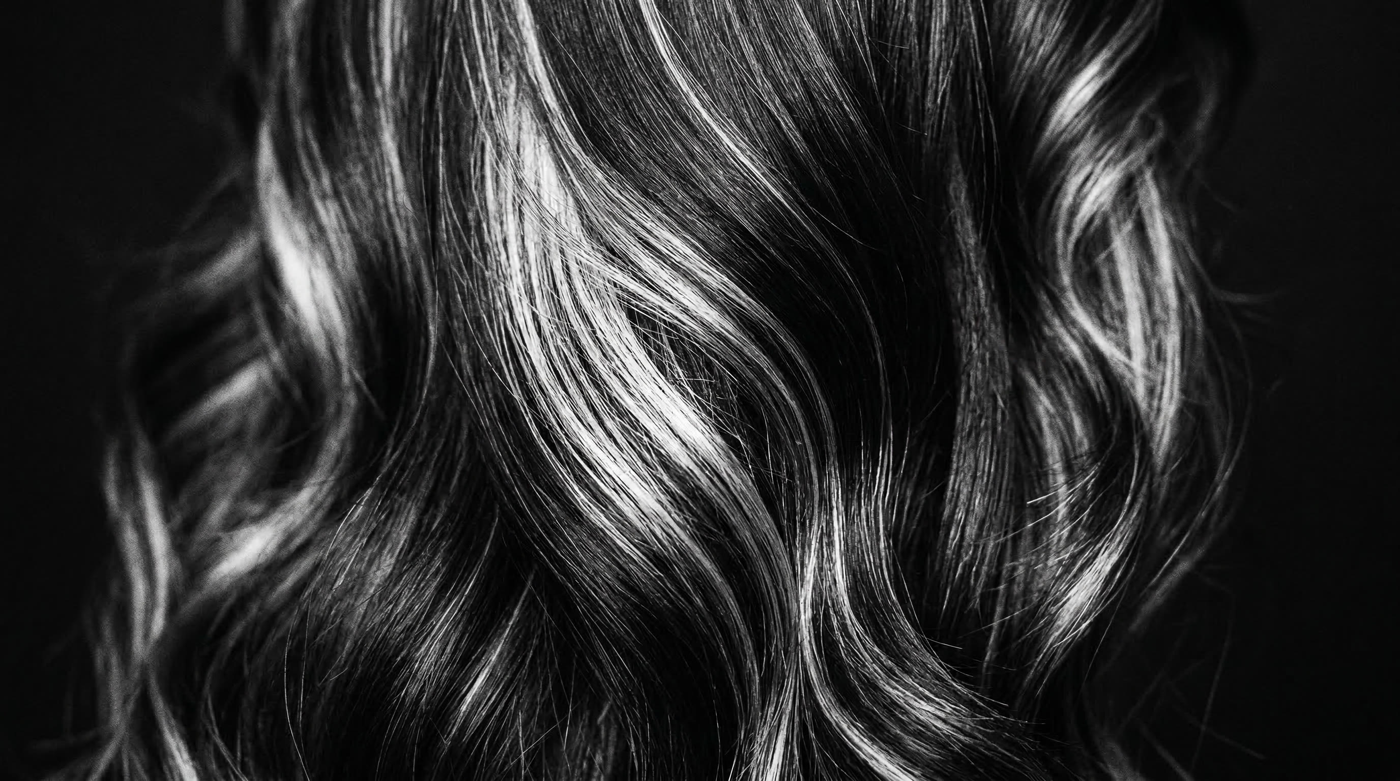 Macro dark hair with silver highlights in black and white